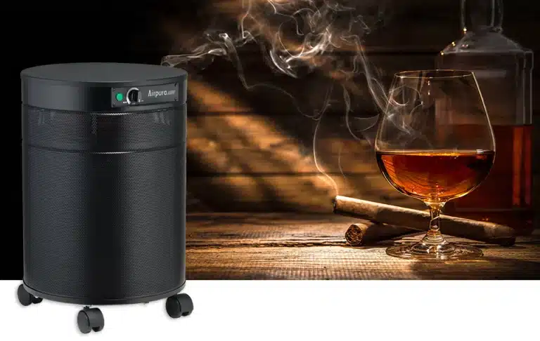 smoke eater air purifier machine for sale